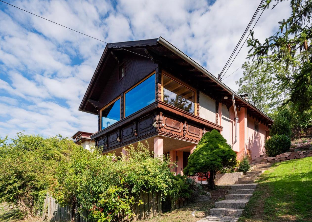 뮈치 Le Grand Nichoir De La Colline - Parking - Wifi 빌라 외부 사진